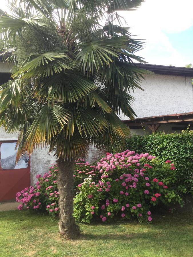 Notti Al Torre - Colazione In Camera San Vito al Torre 外观 照片